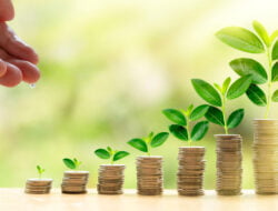 Investasi Reksa Dana menjadi Pilihan bagi Investor Pemula, Begini Penjelasannya!