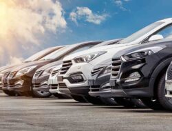Cara Memulai Jasa Rental Mobil, Langkah Perizinan dan Estimasi Modal